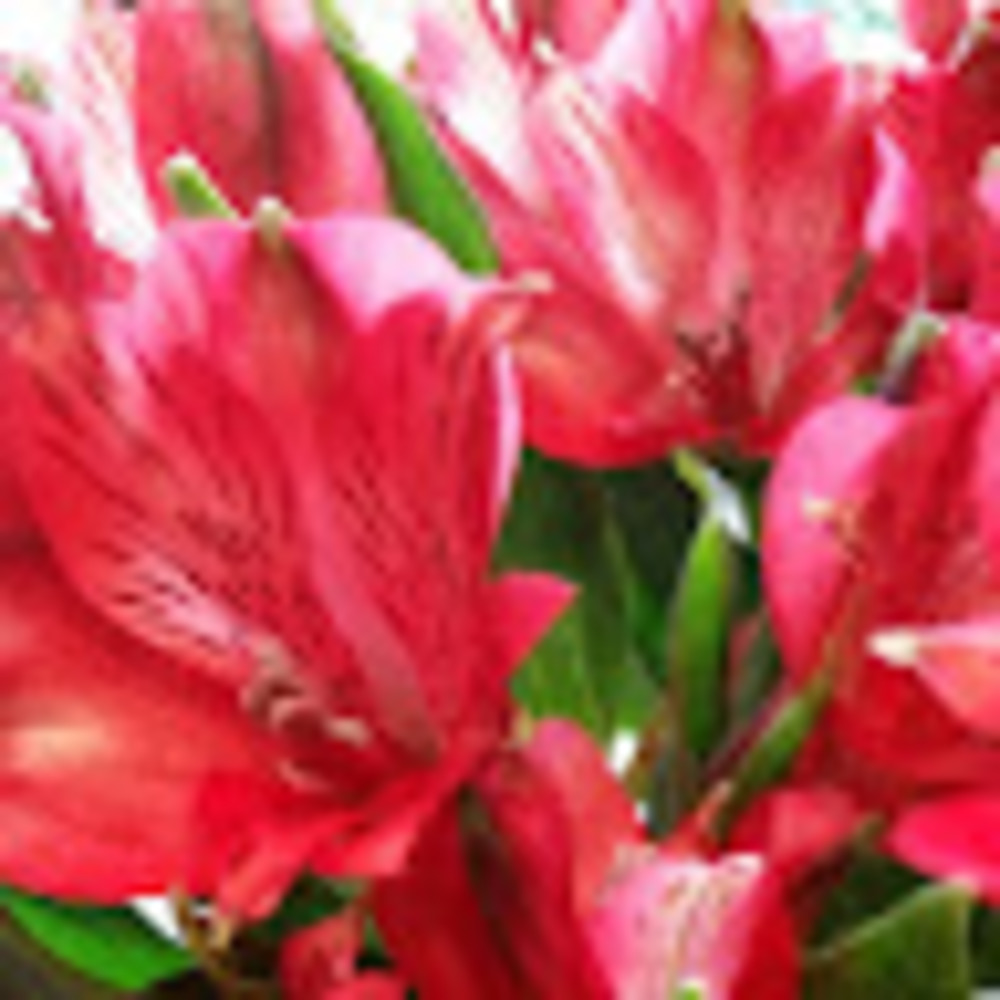 Meet your Posher, Simply